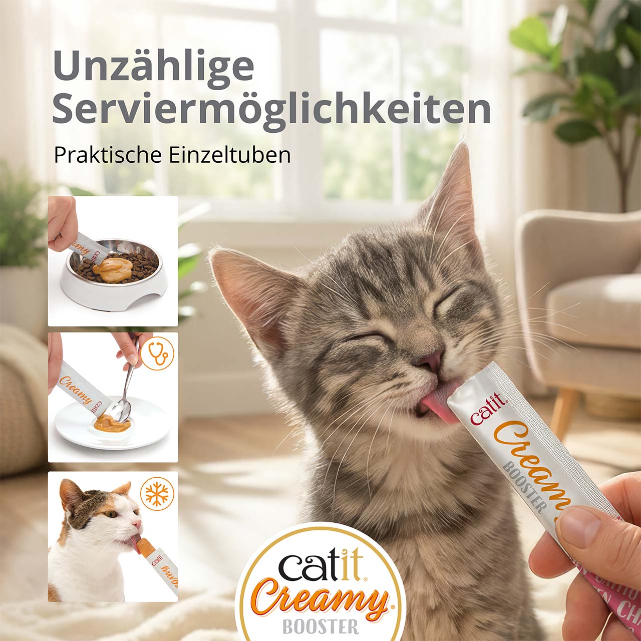 Ein kleines graues Kitten schleckt Catit Creamy Booster Kitten im Wohnzimmer.