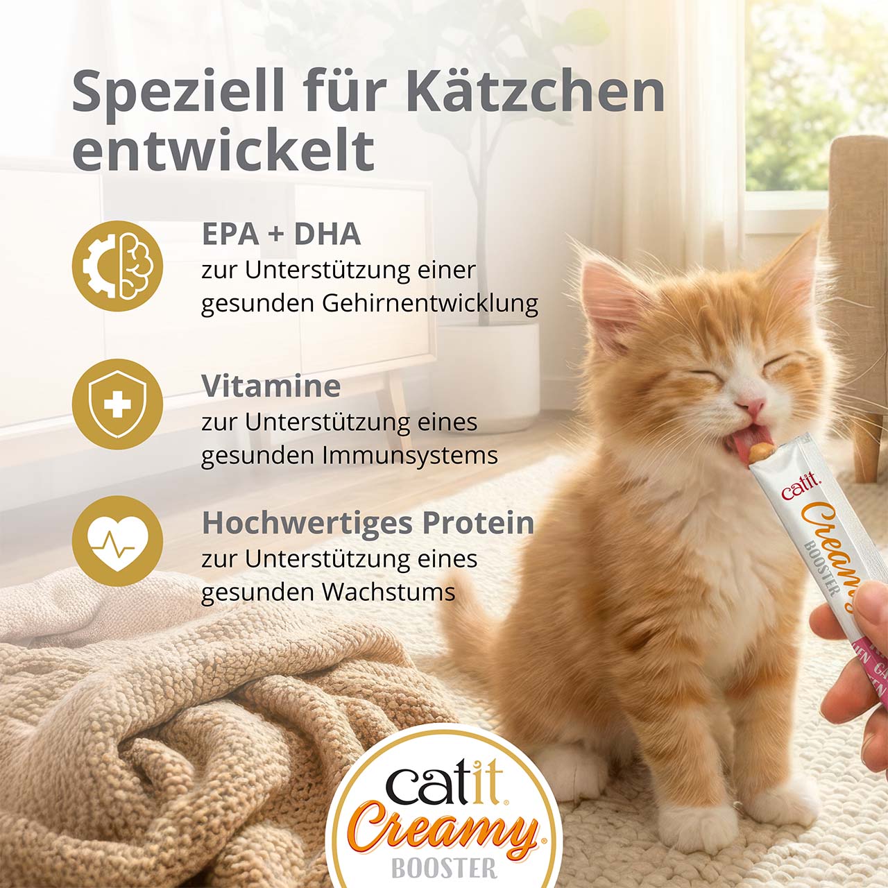 Ein kleines Kitten schleckt auf einem Teppich im Wohnzimmer Catit Creamy Booster Kitten, einen speziell für Kitten entwickelten Snack.