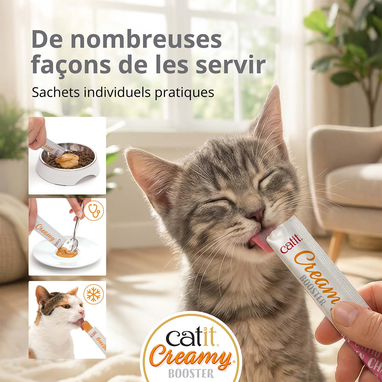 Petit chaton gris mangeant du Catit Creamy Booster Chatons dans un salon