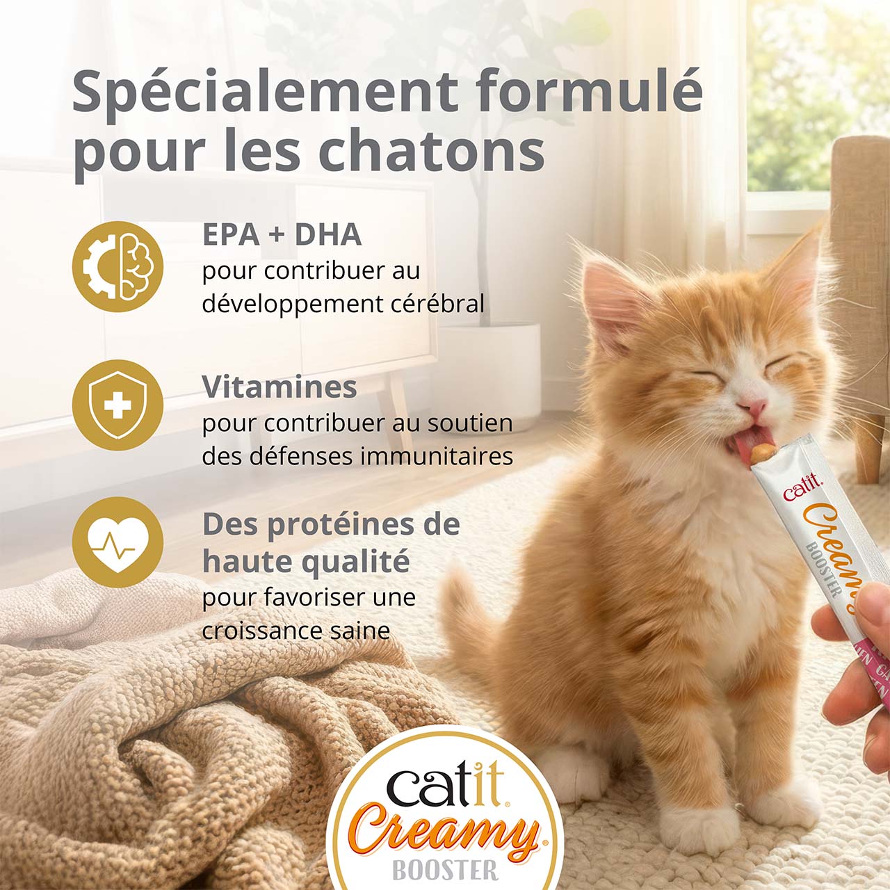 Spécialement conçu pour les chatons, petit chaton mangeant une friandise Catit Creamy Booster Chatons sur un tapis dans un salon